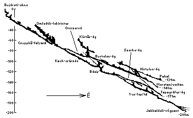233b