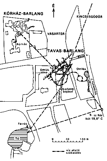 254