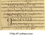 thm_palimpsz.jpg