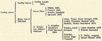 Cseffey Jnos Cseffey Istvn Cseffey Lszl 1655. Gvai Pter Mikls 1655. Ferencz 1655. Katalin, Szentpli Ignczn 1676. Ilona, Gvai Miklsn Anna, Torma Jnos zvegye 1676. Judith, Domokos Jnosn 1676. Borbla, Henter Benedekn 1676. G. Katalin zv. Sksd Miklsn S. Erzsbet kirlyfalvi Petki  Istvnn 1655. Katalin, Lzr Istvnn Lzr Erzsbet 1676 Klnoki Smueln Erzsbet borsai Nagy Tamsn N. Zsfia, vargyasi Dniel Ptern 1676.
