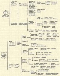 1645–54. Margit 1. Toldalagi Mihlyn Toldalagi Jnos Stepn Erzsbet Jnos 1711. Mihly Fldvry Erzs. Erzsbet Fekete Samun Lrincz Nalczi gnes Fekete S. Borleszn 9 telket Ezek elzl. Borlesza s Kis-Debrek s Szita felt 1611. Berenhidi Huszr Mtysn, Harinai Farkas Krisztina Pongrcz  Gy. kivltotta testvre 1712 Krisztina Ugron Istvnn Ugron Andrs Istvn Jzsef Lszl Bnffy Klra Bethlen Farkas Huszr Borbla 23 rks. 2. Macsksi Boldizsrn Macsksi Lszl Teleki Erzsbet Krisztina 1. Bethlen Istvnn Juli, Dzsa Mihlyn Anna, Gl Jnosn gnes 1. Rdai Ferenczn 2. Hollakin gnes, Teleki Mihlyn Teleki Mihly 2. Vradi Istvnn Kata, Barcsai Pln Rza, Bornemissza Jzsefn Bornemissza Jzsef 7 rk. Lszl Maksai Mria Dniel, Duzsrdi Mria Kata, Jbrczki Gborn Mria Frter Antaln Anna, Vas Antaln Egresen 3 r. Mria, Ugron Tamsn Ugron N. Bir Mzesn Bir Mihlyn Szitn 3 rksg Istvn I. Cseszeliczki Szilvsi Zsuzsa Kristf Npolyi Mria Ferenc † Istvn Gerb Anna Zsuzsnna br. Weisz Ferencn Egresen 4. Szitn 3 rksg Ferencz Baranai Klra Ferencz, Gborfi Krisztina Krisztina, Kozma Ferneczn 3 rksg Lszl Vas Klra Nina, Ajtai Jzsefn 1805. Jozefa,  Jkei Zsigmondn 1611-ben