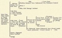 1642-ben Mihly, Szalrdi Anna 1656. Erzsbet, kisenyedi Veres Boldizsrn Veres Samu va, rsekujvri Samun Istvn † Kata, desi Somogyi Andrsn Fejr Kata 1. Szcs Istvnn 2. Detri Andrsn 1652. Desi Filep, Fejr Gspr s Perecsi Kata 1608-ban
