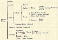 Istvn Andrs Sndor Gyrgy Istvn Lszl Eszter, Csernyi Sndorn Mihly Mihly Sra, Katona Jnosn Borbla, Dniel Mihlyn Klra, Bir Dnieln Keczeli Istvn Jnos Jnos Ferenc Jnos Samu Krisztina, Kabos Lszln Erzsbet, Szucski Ferenczn Borbla Thoroczkay Ptern 1757. Katalin br. Barcsay Jnosn Gyrgy Istvn † 1735 Sra, Lszai Istvnn