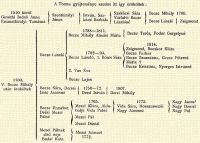 1510 krl Girolthi Indali Anna rszentkirlyi Tamsn Szentkirlyi Jnos Istvn, Szakcsi Borbla Szakcsi Sra Vrfalvi Becze Lszln Becze Mihly 1760. Becze Lszl Zsigmond 1788–1811. Becze Mihly Almsi Mria Becze Terz, Fodor Gergelyn Becze Lszl 1782–93. Becze Lszl, 1. Bnis Sra 1814. Zsigmond, Bocskor Klra Becze Farkas Becze Zsuzsnna, Gecze Ptern Mria †Becze Krisztina, Nyerges Istvnn Vas va Becze Lajos 1760. V. Becze Mihly utn rkltek Becze Sra, Dersei Imre Jnosn 1750–72. Dersi Istvn 1807. Dersi Mihly Becze Erszbet Desi Mezei Pln 1765. Mezei Klra, Aldobolyi Vida Pln Mezei Pl Mezei Dniel 1773. Vida Sra, Hosszumezi Nagy Jnosn Nagy Jnos