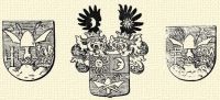 Toroczki s toroczkszentgyrgyi Toroczkay csald czmerei.