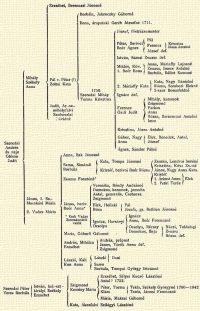 Szeredai Andrs s neje Glsn Judit Mihly Szkely Anna Erzsbet, Berenczei Jnosn Borbla, Jabroczky Gborn Ilona, rpataki Gerb Jzsefn 1711. Pl v. Pter (?) Zoltai Kata Judit, Ar.-sz.-mihlyfalvi Szoboszlai Dvidn 1750 Szeredai Mihly Torma Krisztina Jzsef, fstrzsamester Pter, Berivoi Bor gnes Pl Ferencz Jzsef def. Istvn, Srosi Zsuzsa def. Mikls, Kv. 1. Bor Ilona Anna, Mriaffy Lajosn Zsuzsa, Imecs Antaln Borbla, Blint Samun 2. Mriaffy Kata Kata, Nagy Dnieln Rzsa, Sombori Elekn 2-szor Rosenfeldn Igncz def. Ferencz zdi Judit Mihly, kanonok Zsigmond Farkas Anna Rzsa, Berzenczei Antaln Imre Krisztina, Jzsa Antaln Gbor, Nagy Anna Elek, Benedek, Antal, Jzsef gnes, Sndor Pln Jnos 1. Sz.-Macsksi Mria 2. Vadas Mria Anna, Bak Jnosn Samu, Simndi Borbla Zsuzsa Fosztn* Kata, Tompa Jnosn Kristf, berivoi Bor Rzsa Zsuzsa, Lendvai Imrn Krisztina, Ksa Zs.-n Jnos, Nagy Anna Kata, Kristf. 1. rkosi Anna 2. Petki Terz Elek Jnos, beriv. Bor Anna* Ezek Vadas Zsuzsnntl valk Veornika, Bndy  Andrsn Domokos, kanonok, jezsuita Antal, generalis, Csehorsz. Zsigmond Elek, Hollaki Rza Igncz Harsnyi Orsolya Pl Jozefa, gr. Bethlen Jnosn Igncz Anna, Bor Ferenczn Orsolya, Rcsey Domokos, Baja Nczi, Toldalagi Zsuzsa Rzsa def. Mria, Gborfi Gborn Andrs, Mihlcz Erzsbet Andrs, prpost Jnos, Trk Anna def. Zsigmond. Lszl, Kli Kun Anna Lszl Samu Borbla, Tompai Gyrgy Istvnn Dani Szeredai Pter Veres Borbla Istvn, kal.-szt.-kirlyi Szkely Erzsbet Zsigmond Kemny Mria Kata, kosfalvi Szilgyi Lszln Erzsbet, Slyei Kucs Lszln Antal? 1752. Pter, Torma Klra Mria, Maksai Gborn Tekla, Szkely Gyrgyn 1760–1842 Terz, Jnosi Ferenczn Kata, kosfalvi Szilgyi Lszln