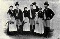 Szki npviselet