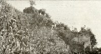 Rszlet a kvri vrbl 1898-ban.