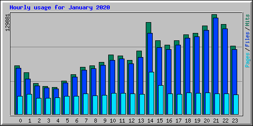 Hourly usage for January 2020