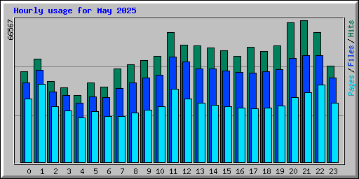 Hourly usage for May 2025