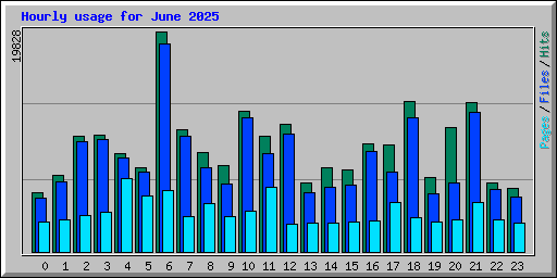 Hourly usage for June 2025