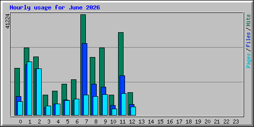 Hourly usage for June 2026