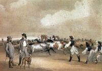 IX. Einfangen der Pferde mit Fangleine, 1855 IX. Einfangen der Pferde mit Fangleine, 1855