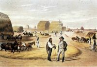 VII. Dreschen mit Pferden auf der Tenne eines Gutsbetriebes, 1855 VII. Dreschen mit Pferden auf der Tenne eines Gutsbetriebes, 1855