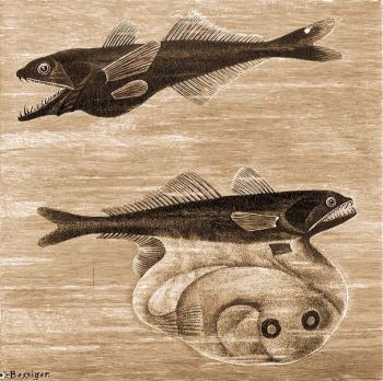 Fekete bendshal (
