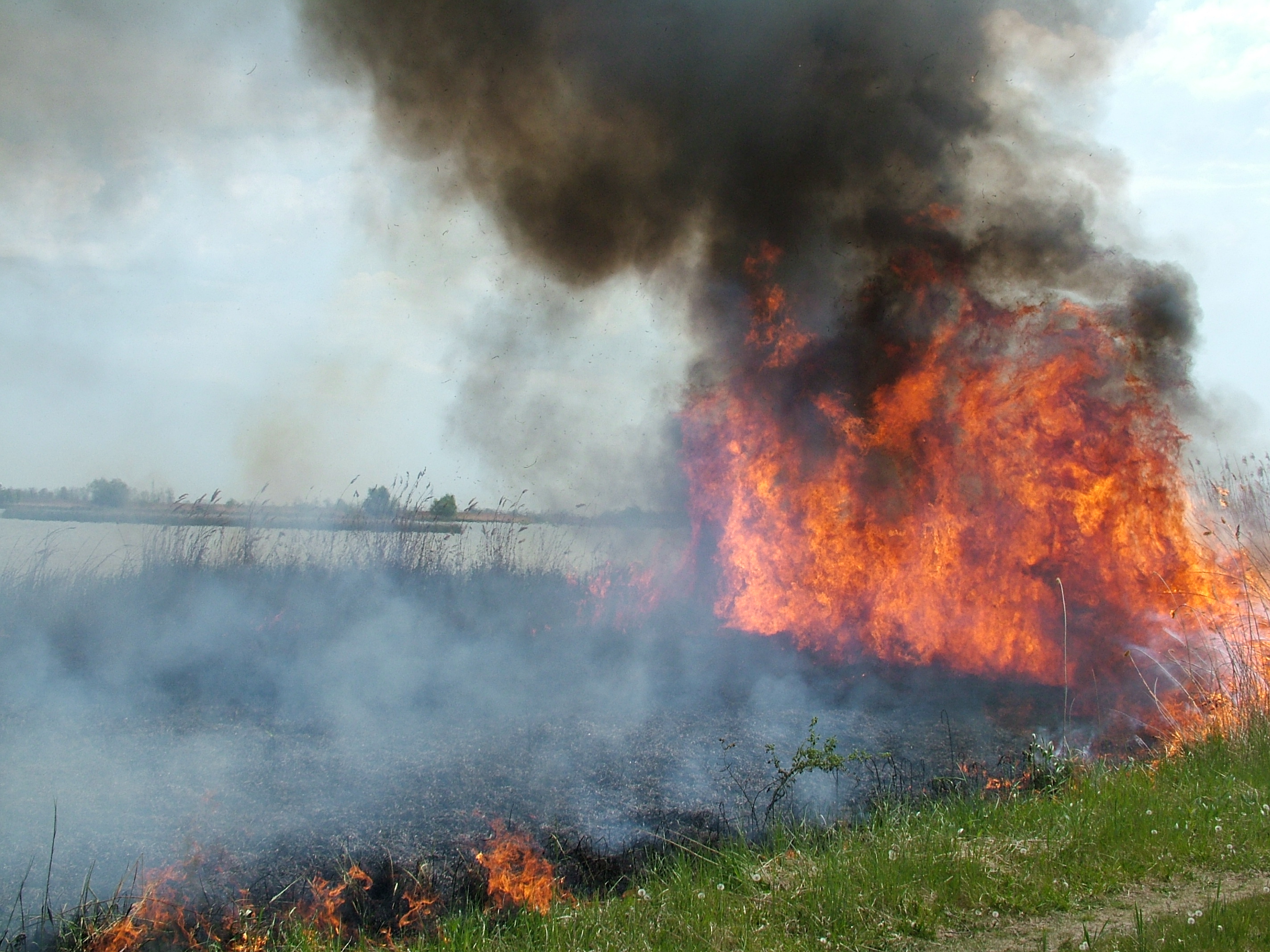 Tűz a Kengyel-tónál, 2007. ápr. 24.