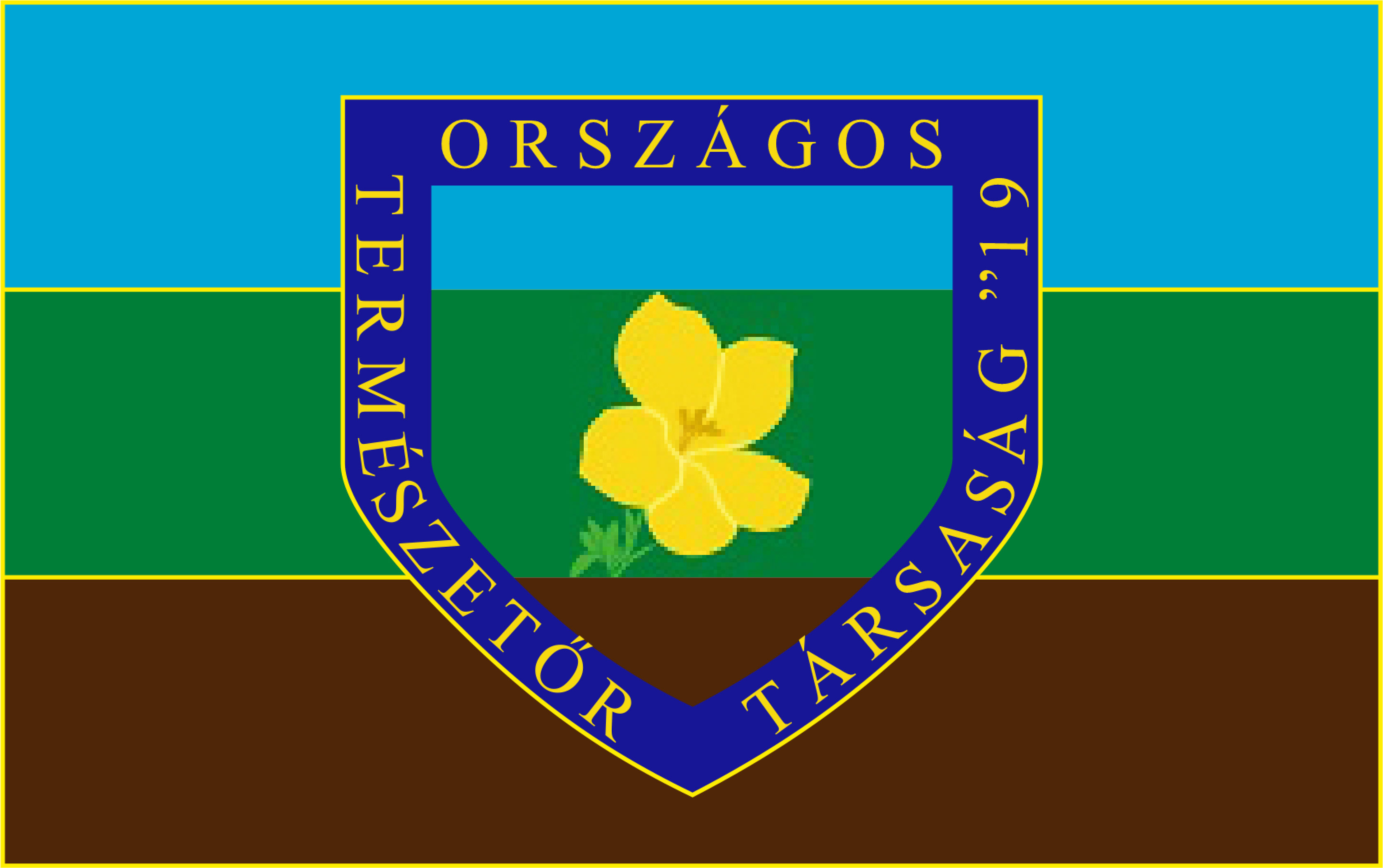 TÁRSASÁGI ZÁSZLÓNK kék-zöld-barna