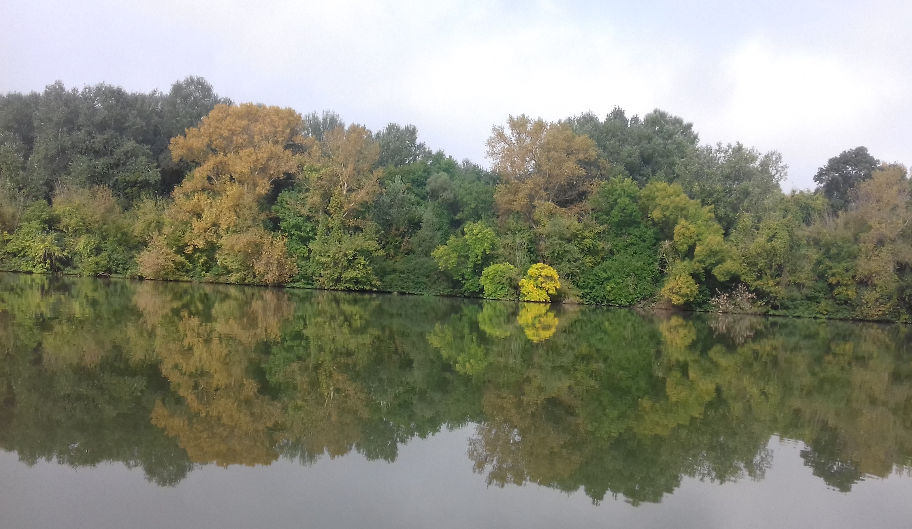 Tisza-tó tükre