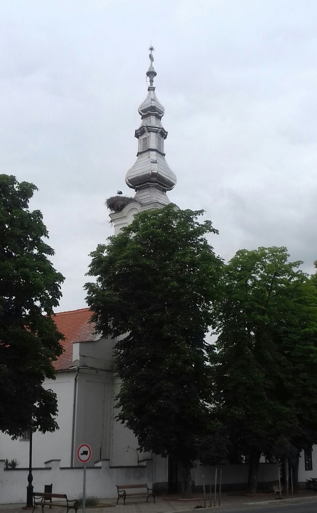 Lakott gólyafészek, fehér gólya - fokozottan védett, 100.000 Ft/egyed