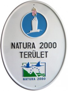 n2000.jpg