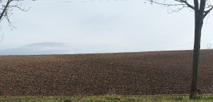 20210205_104735-2.jpg