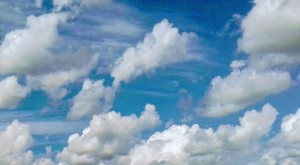 20170701_151713-3-1-6.jpg