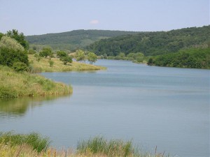 halgazdalkodasi-vizterulet.jpg