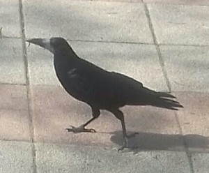 20180429_102955-1-1-3.jpg