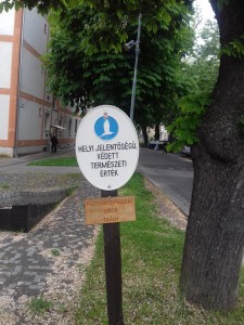 TE - Pécs2