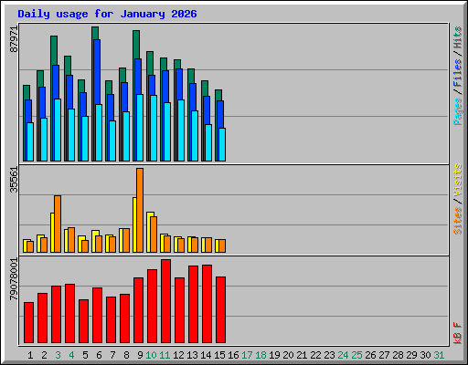 Daily usage for January 2026