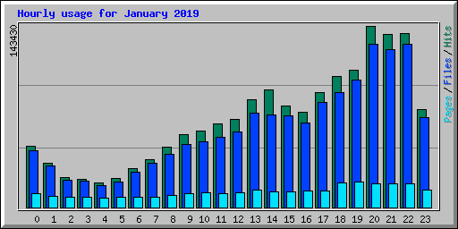 Hourly usage for January 2019