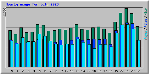 Hourly usage for July 2025