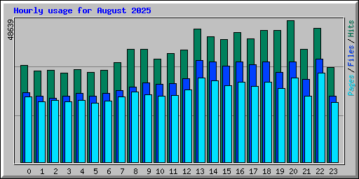 Hourly usage for August 2025