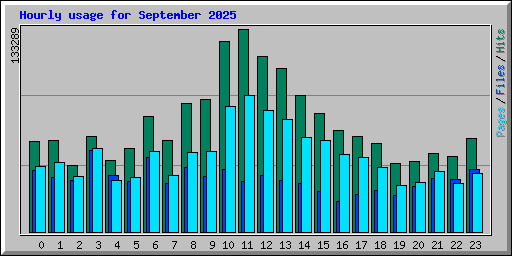 Hourly usage for September 2025