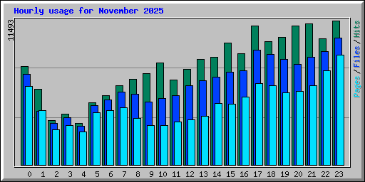 Hourly usage for November 2025