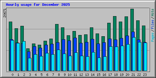 Hourly usage for December 2025