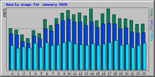 Hourly usage for January 2026