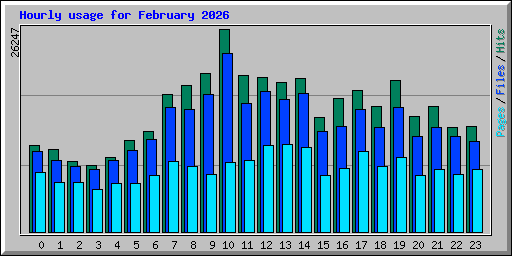 Hourly usage for February 2026