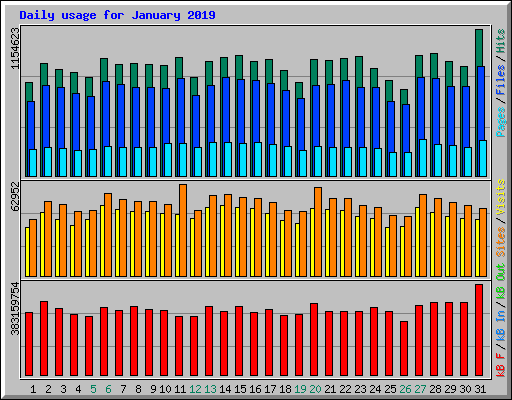 Daily usage for January 2019