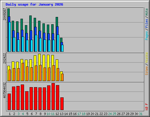 Daily usage for January 2026