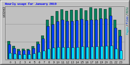 Hourly usage for January 2019