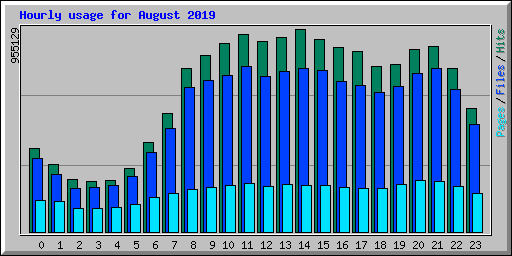 Hourly usage for August 2019