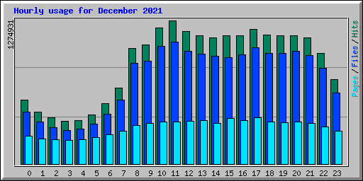 Hourly usage for December 2021