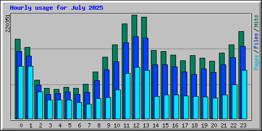 Hourly usage for July 2025