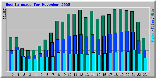 Hourly usage for November 2025
