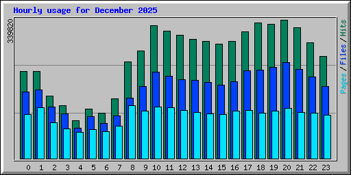 Hourly usage for December 2025