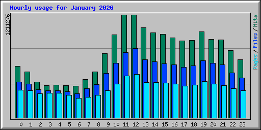 Hourly usage for January 2026