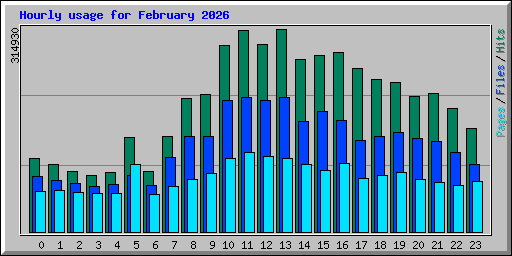 Hourly usage for February 2026